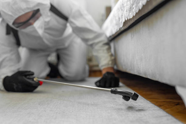 Professional Mosquito Control technician working in Lake Mills, IA