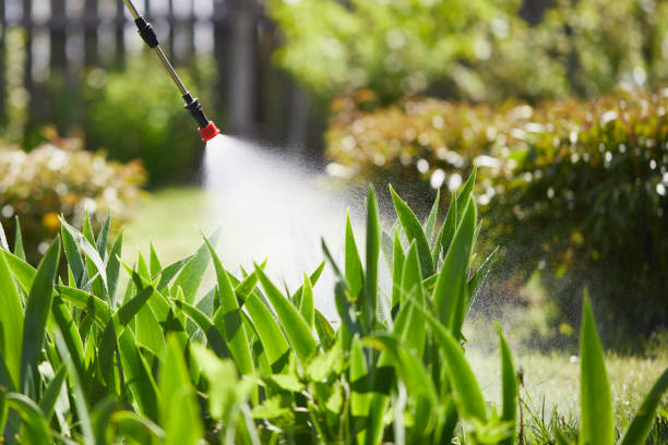 24/7 Emergency Mosquito Control experts in Lake Mills, IA