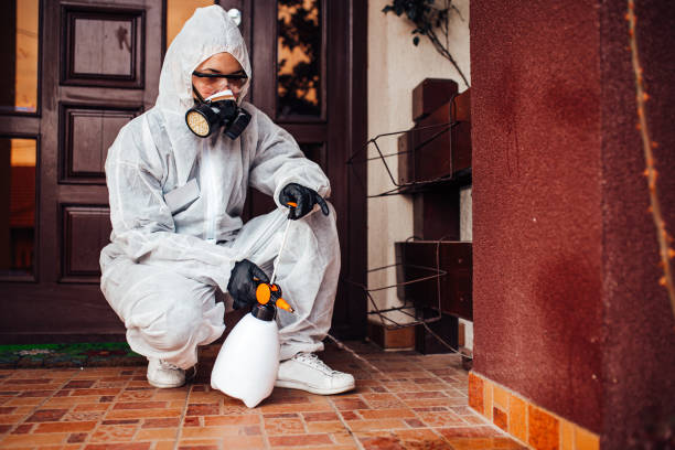 Reliable Mosquito Control contractor in Lake Mills, IA by Nex Pest Control