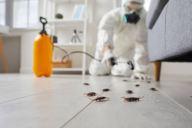 Trusted Rodent Control service in Lake Mills, IA - Nex Pest Control