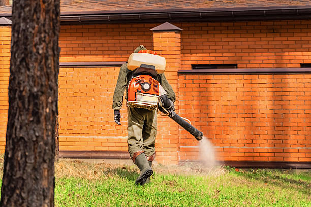 Trusted Mosquito Control service in Lake Mills, IA - Nex Pest Control